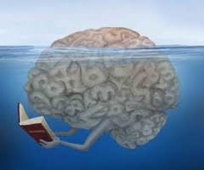 Hydration for Brain Power