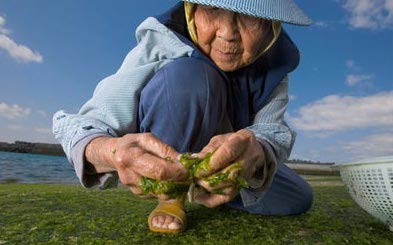 Blue Zones: Secrets of the World's Longest Living Women